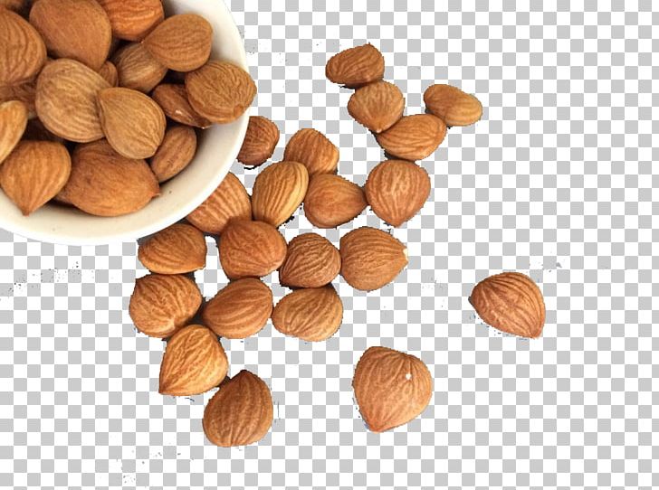 Hazelnut PNG, Clipart, Almond, Almond Medicine, Almond Milk, Almond Nut, Almonds Free PNG Download