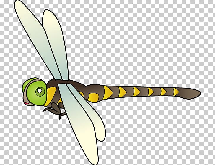 Insect Anotogaster Sieboldii Cordulegastridae Sympetrum Frequens PNG, Clipart, Animals, Antlion, Arthropod, Cold Weapon, Dragonflies And Damseflies Free PNG Download