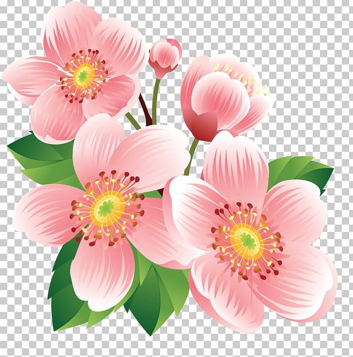 Stock Photography PNG, Clipart, Annual Plant, Art, Blossom, Clip Art, Cut Flowers Free PNG Download