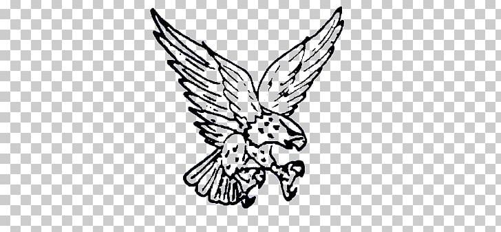 Armwood High School National Secondary School State School PNG, Clipart, Bird, Black, Fauna, Fictional Character, Flower Free PNG Download