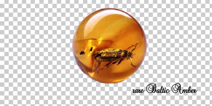 Baltic Amber Бусы Resin Polishing PNG, Clipart, Amber, Amer, Ball, Baltic Amber, Blanking And Piercing Free PNG Download