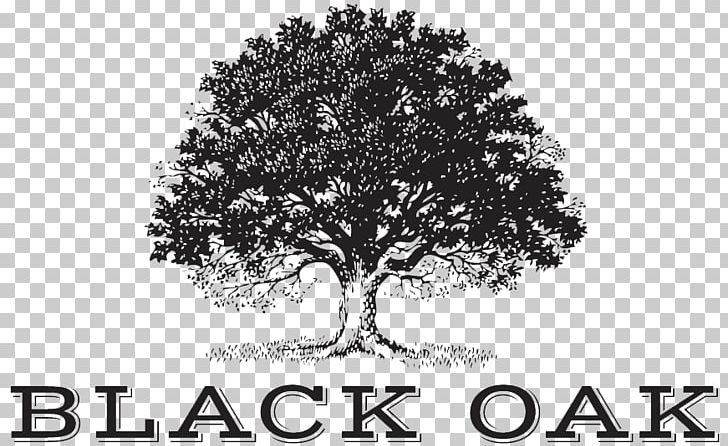 Black Oak Wine BLISS CHAMPIONS Tree Company PNG, Clipart, Alcoholic Drink, Black And White, Black Oak, Branch, Company Free PNG Download