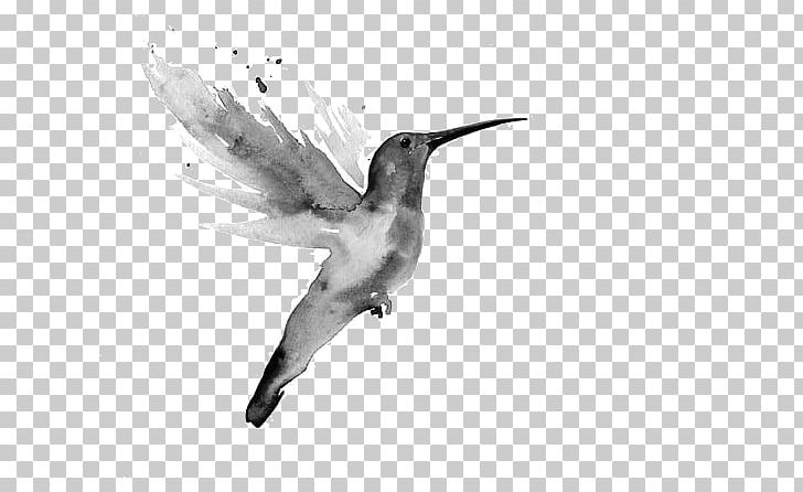 Watercolor Painting Art Hummingbird 水彩色鉛筆 PNG, Clipart, Art, Artist, Art Museum, Beak, Bird Free PNG Download