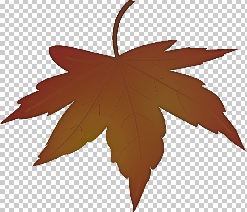 Maple Leaf Autumn Leaf Yellow Leaf PNG, Clipart, Autumn Leaf, Black Maple, Leaf, Maple Leaf, Plane Free PNG Download