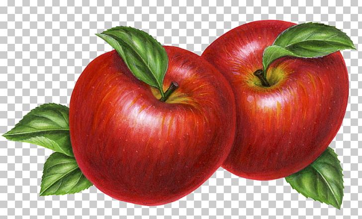 Apple Red Delicious Auglis PNG, Clipart, Apple Fruit, Auglis, Diet Food, Download, Food Free PNG Download