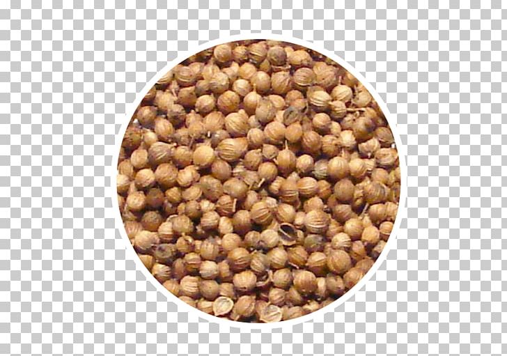 Coriander Seed Allspice Herb PNG, Clipart, Allspice, Anise, Bean, Black Pepper, Chili Powder Free PNG Download