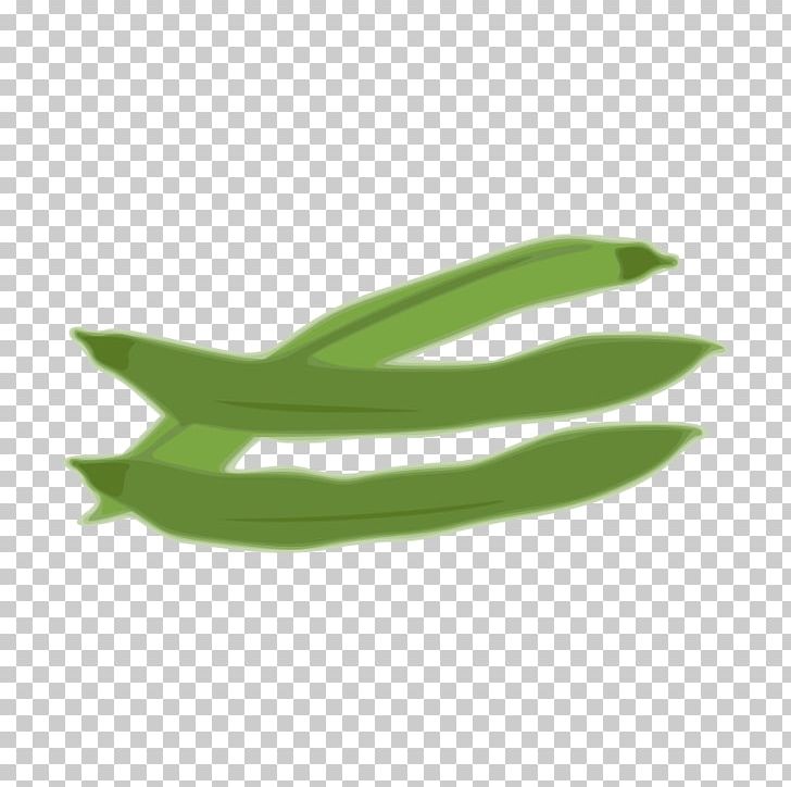 Edamame Pea Green Bean PNG, Clipart, Bean, Computer Icons, Edamame, Food, Grass Free PNG Download