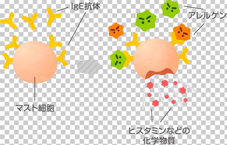 Immunoglobulin E Food Allergy Antibody PNG, Clipart, Allergy, Anaphylaxis, Antibody, Area, Communication Free PNG Download