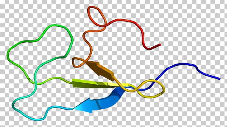 KSR1 Protein Kinase Gene PNG, Clipart, Area, Artwork, Autophosphorylation, Cell, Cellular Component Free PNG Download