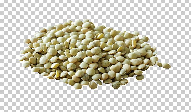 Lentil Vegetarian Cuisine Common Bean Mung Bean PNG, Clipart, Bean, Commodity, Common Bean, Food, Green Beans Free PNG Download