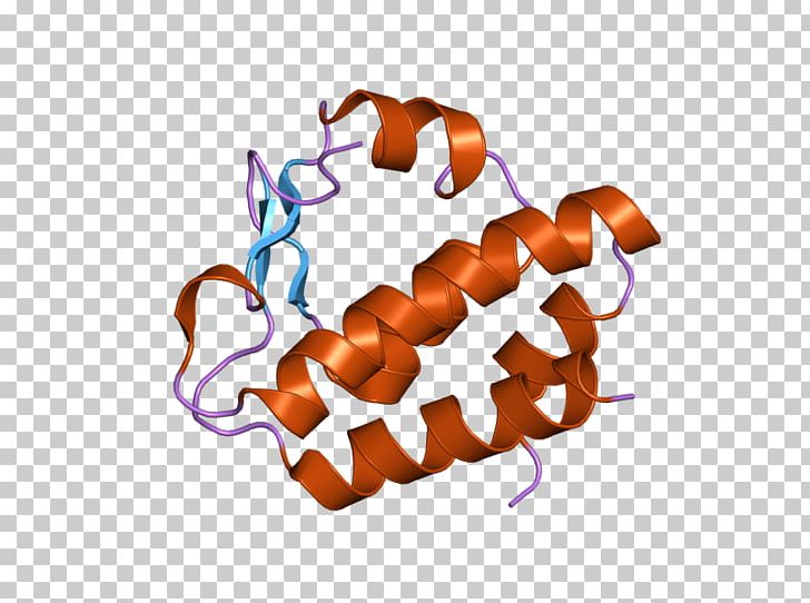 NGLY1 Peptide-N4-(N-acetyl-beta-glucosaminyl)asparagine Amidase Ase F N-glycanase 1 PNG, Clipart, Asparagine, Complex, Crystal, Crystal Structure, Enzyme Free PNG Download