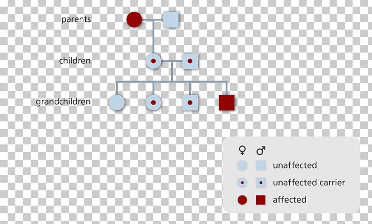 Pedigree Chart Genetics Dominance Genetic Disorder PNG, Clipart, Angle, Brand, Chart, Communication, Diagram Free PNG Download