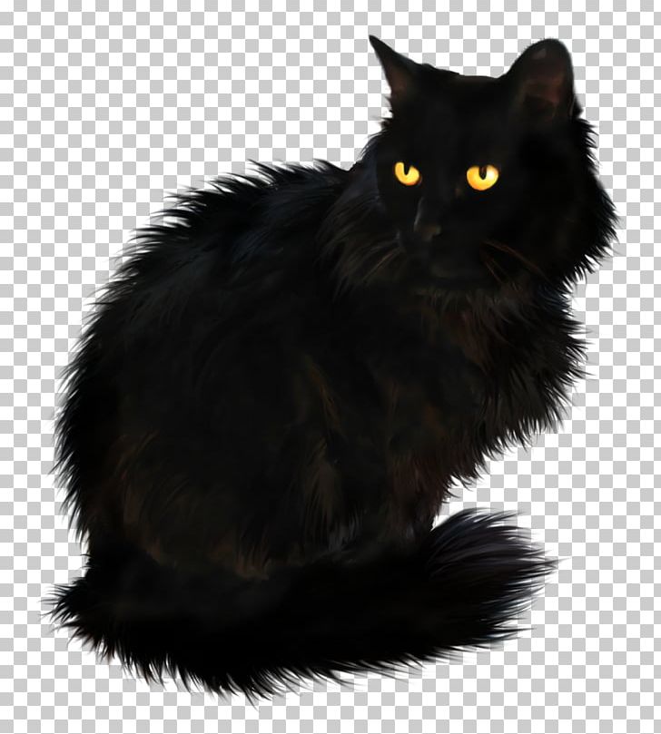 Persian Cat British Longhair Kitten Black Cat Png Clipart