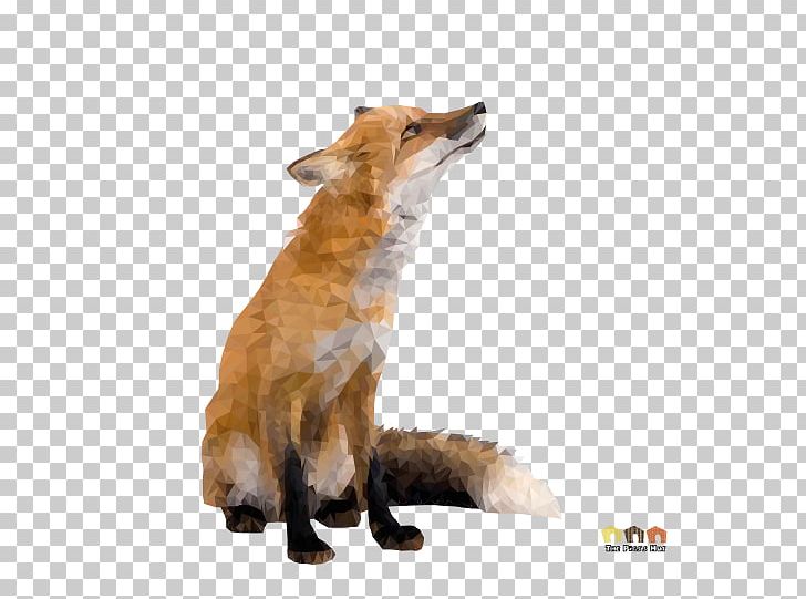 Red Fox Stock Photography Animal PNG, Clipart, Animal, Animals, Carnivoran, Dog Breed, Dog Breed Group Free PNG Download