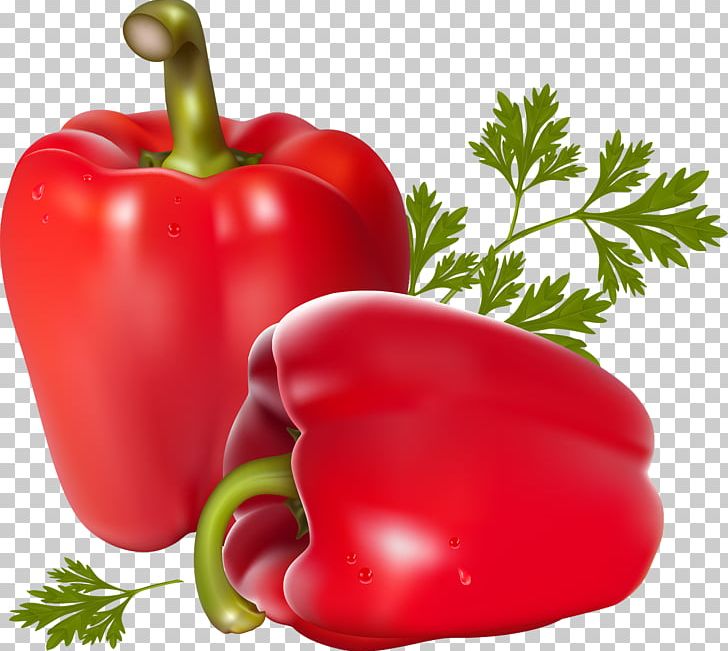 Vegetarian Cuisine Chili Pepper Vegetable Bell Pepper PNG, Clipart, Bell Pepper, Bell Peppers And Chili Peppers, Bush Tomato, Capsicum, Cayenne Pepper Free PNG Download