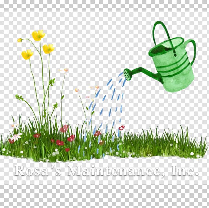 Watering Cans Garden Irrigation Sprinkler PNG, Clipart, Can Stock Photo, Clean Monday, Desktop Wallpaper, Flora, Flower Free PNG Download
