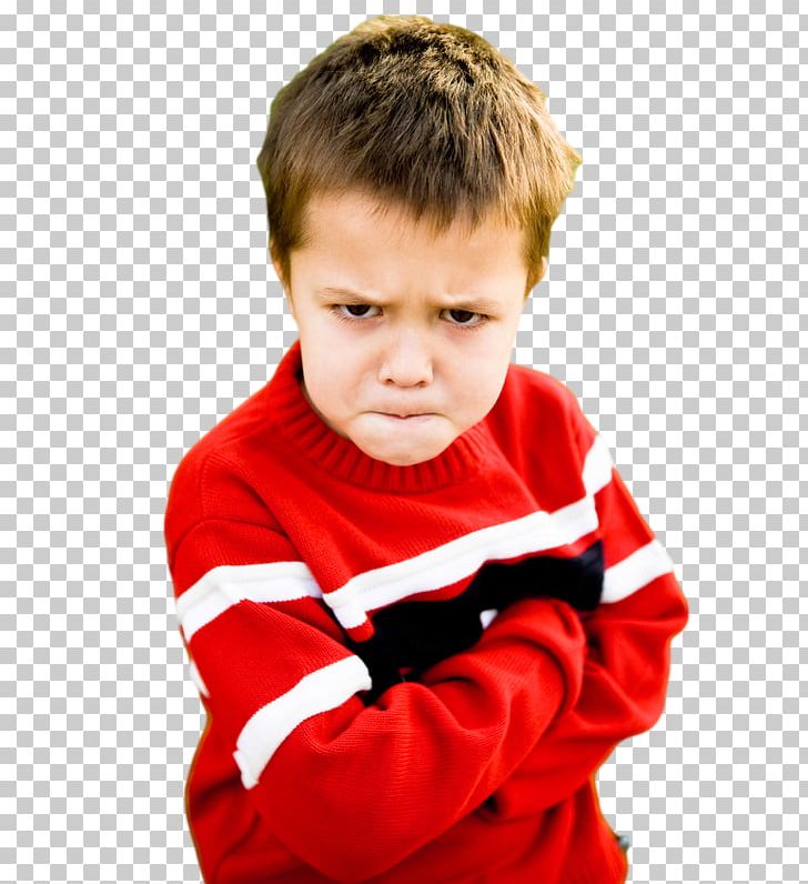 Anger Management Child Angry Boys PNG, Clipart, Aggression, Analyst, Anger, Anger Management, Angry Boys Free PNG Download