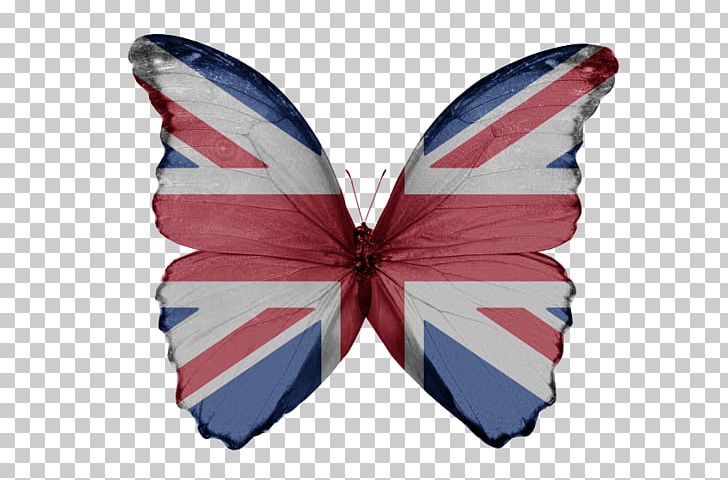 Flag Of The United Kingdom Flag Of The City Of London English Flag Of England PNG, Clipart, Blue, Butterfly, English, English Flag, Flag Free PNG Download