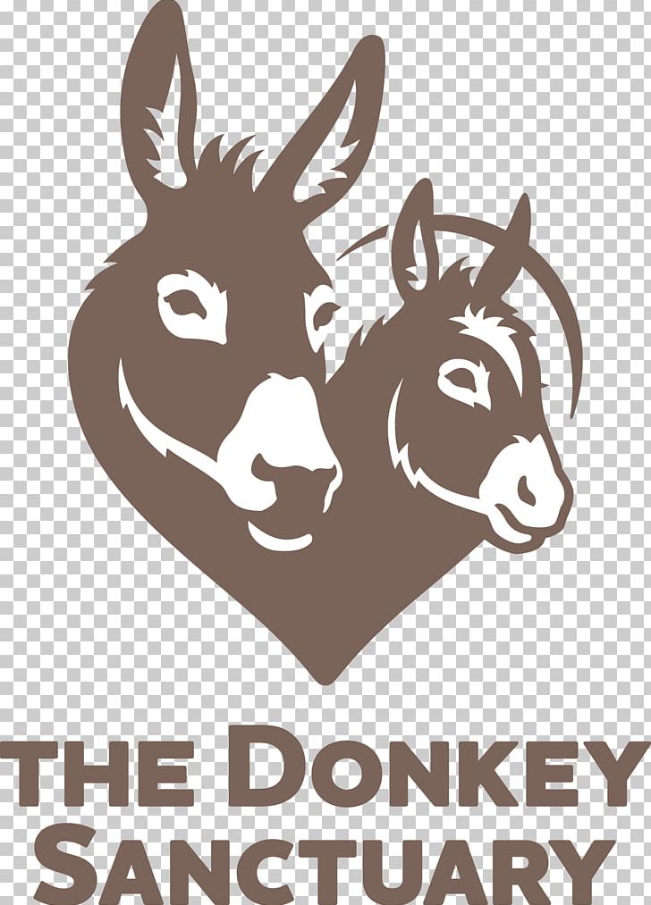 The Donkey Sanctuary Devon Horse Sidmouth Animal Sanctuary PNG, Clipart, Animal, Animals, Animal Sanctuary, Animal Welfare, Black And White Free PNG Download