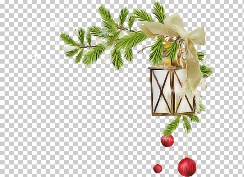 Christmas Ornament PNG, Clipart, Branch, Christmas Ornament, Fruit, Holiday Ornament, Holly Free PNG Download