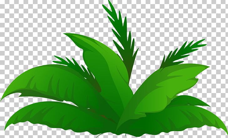 Arecaceae Date Palm Tree PNG, Clipart, Arecaceae, Arecales, Clip Art, Coconut, Computer Icons Free PNG Download