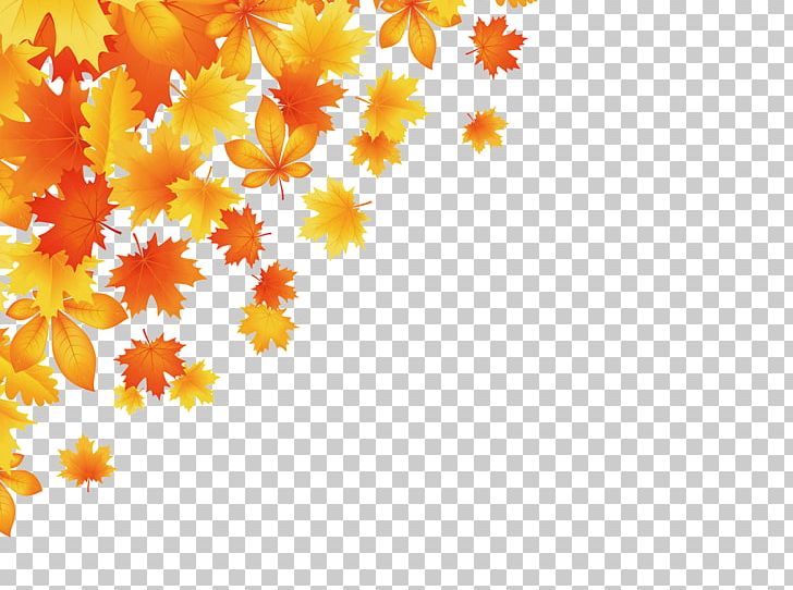 Autumn Leaf Color PNG, Clipart, Autumn, Autumn Leaf, Computer Wallpaper, Encapsulated Postscript, Flower Free PNG Download
