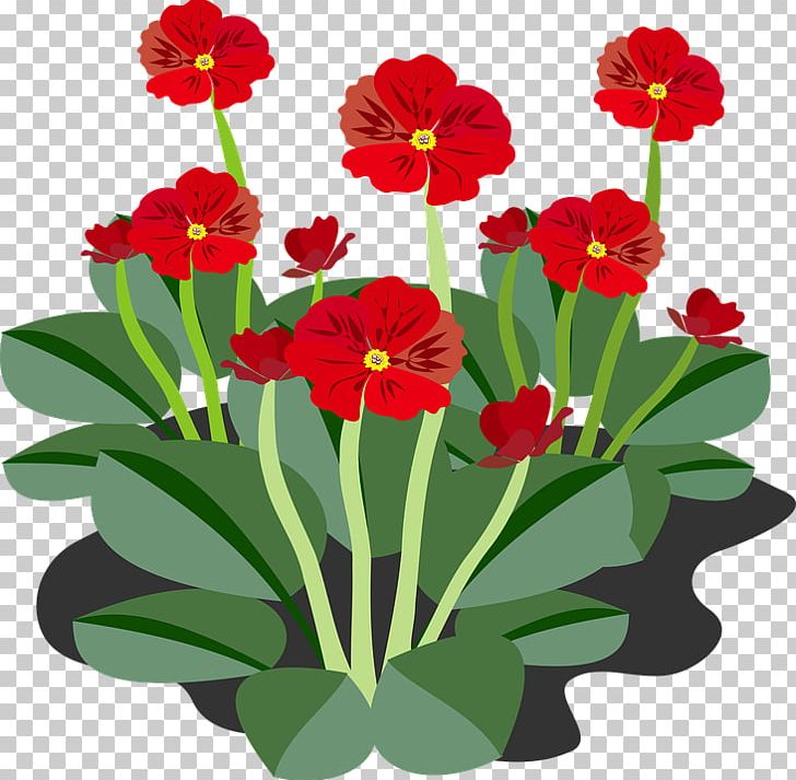 Image File Formats Photography Others PNG, Clipart, Annual Plant, Cut Flowers, Download, Flower, Flowering Plant Free PNG Download