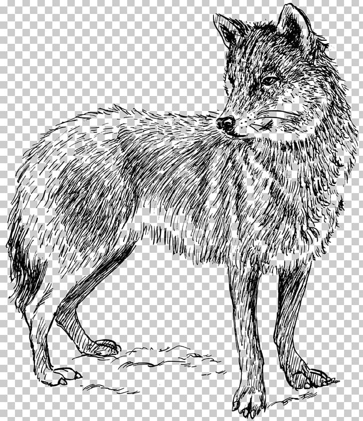 Dog Arctic Wolf Black Wolf PNG, Clipart, Animals, Arctic Wolf, Art, Black And White, Black Wolf Free PNG Download