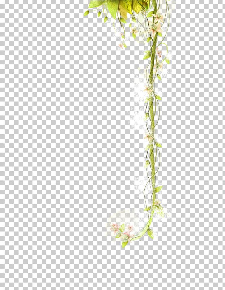 Vine PNG, Clipart, Adobe Illustrator, Beautiful Plant, Beauty, Branch, Encapsulated Postscript Free PNG Download