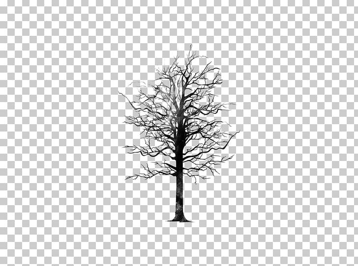 White PNG, Clipart, Black And White, Branch, Monochrome, Monochrome Photography, Others Free PNG Download