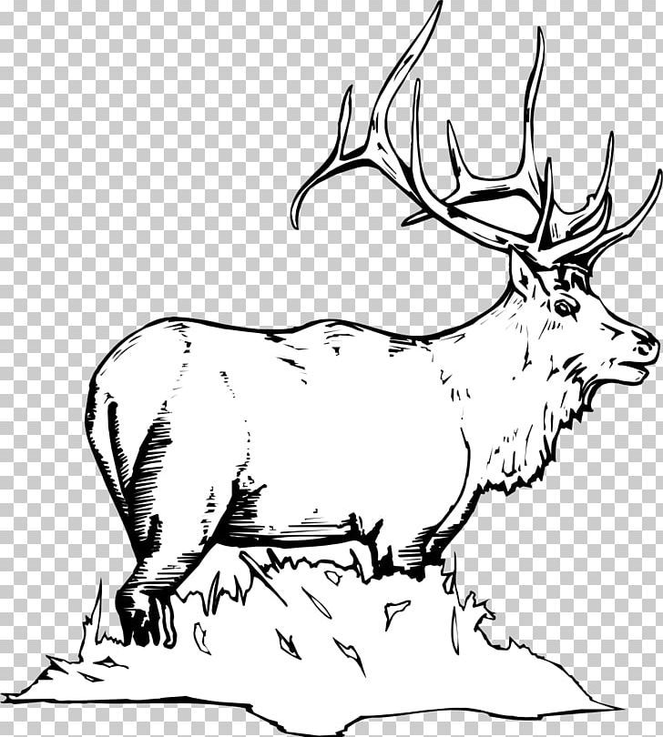 Elk White-tailed Deer Moose Coloring Book PNG, Clipart, Adult, Animal, Animals, Antler, Artwork Free PNG Download