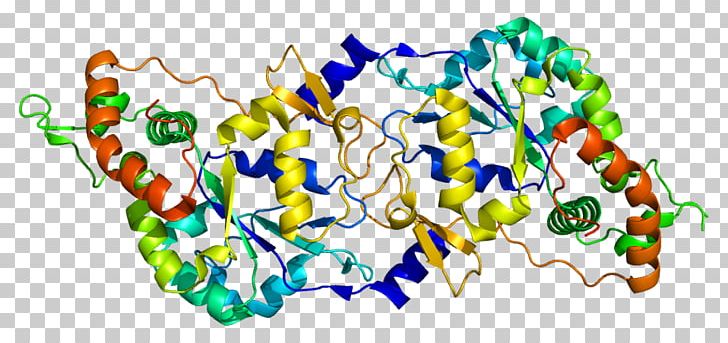 HS3ST3A1 Sulfotransferase Enzyme Gene HS3ST3B1 PNG, Clipart, 1 T, 3 A, Area, Biosynthesis, Dna Free PNG Download