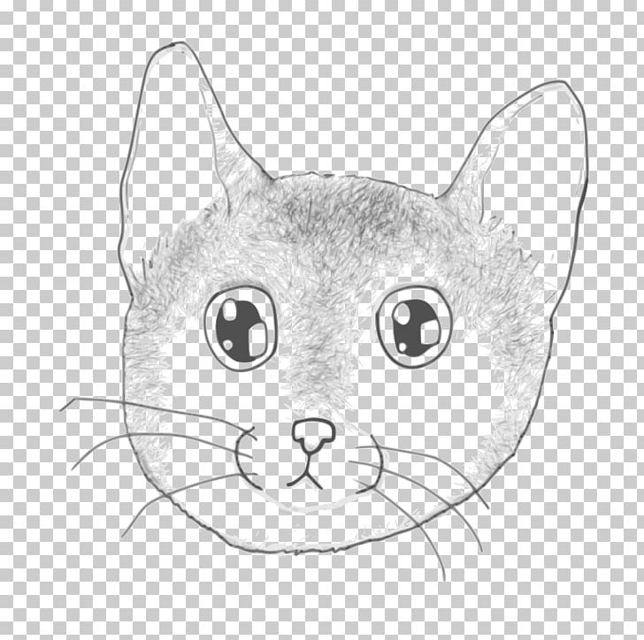 Kitten Whiskers Domestic Short-haired Cat Tabby Cat Wildcat PNG, Clipart, Animals, Artwork, Black, Black And White, Carnivoran Free PNG Download
