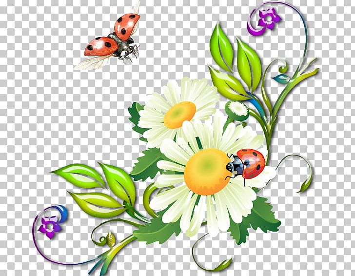 Others Flower Chamomile PNG, Clipart, Artwork, Chamomile, Desktop Wallpaper, Digital Image, Flower Free PNG Download