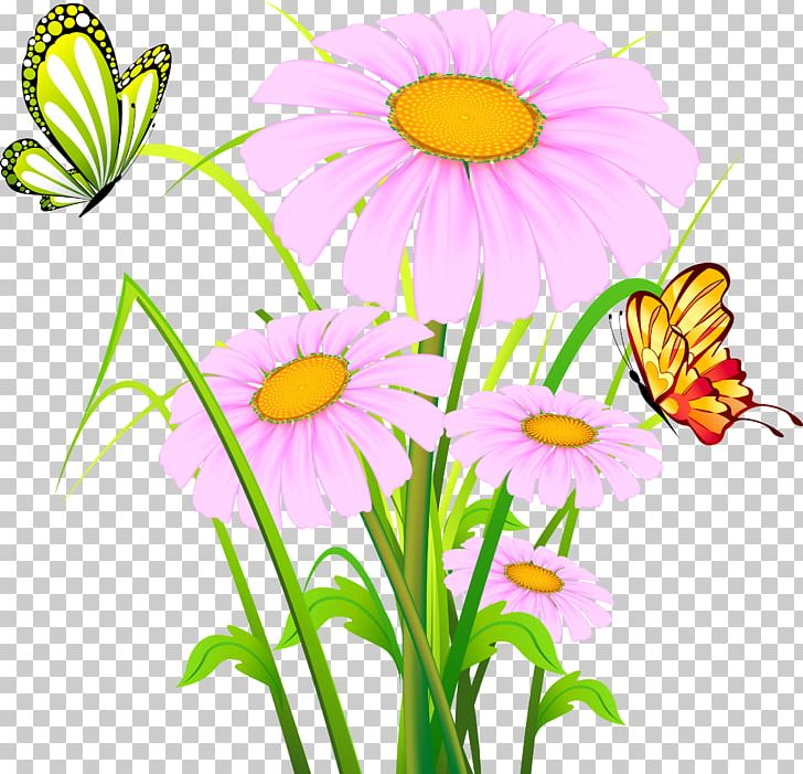 Animation PNG, Clipart, Annual Plant, Artwork, Aster, Chrysanths, Cut Flowers Free PNG Download