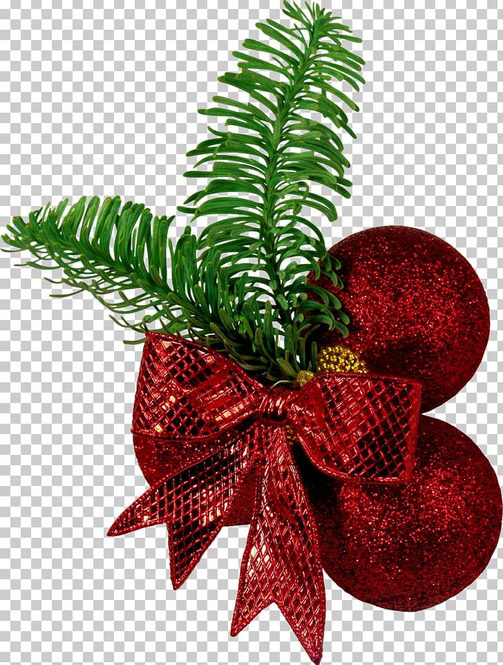 Christmas Ornament New Year Tree PNG, Clipart, Christmas, Christmas Decoration, Christmas Ornament, Christmas Tree, Conifer Free PNG Download
