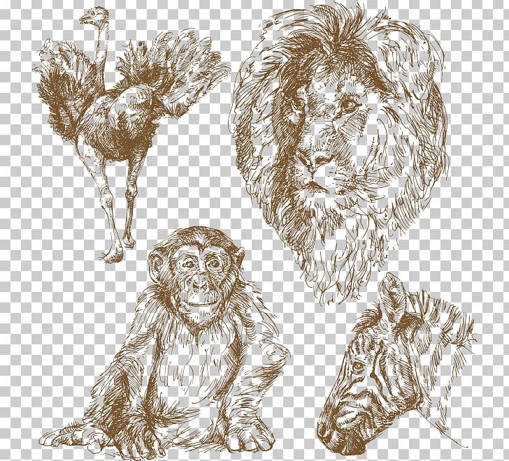 Drawing Animal Illustration PNG, Clipart, Abstract Lines, Animal Vector, Big Cats, Carnivoran, Cat Like Mammal Free PNG Download
