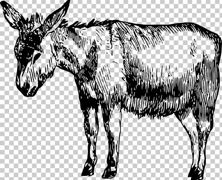 Drawing Donkey Art PNG, Clipart, Animal, Animals, Art, Black And White, Canvas Print Free PNG Download
