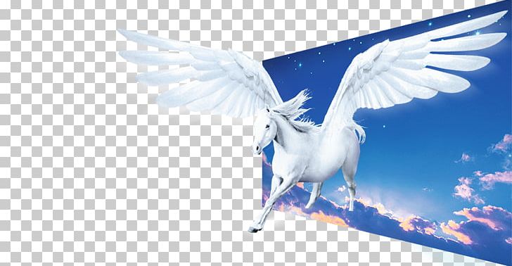 Flight The Interpretation Of Dreams By The Duke Of Zhou PNG, Clipart, Art, Beak, Bird, Computer Icons, Computer Wallpaper Free PNG Download