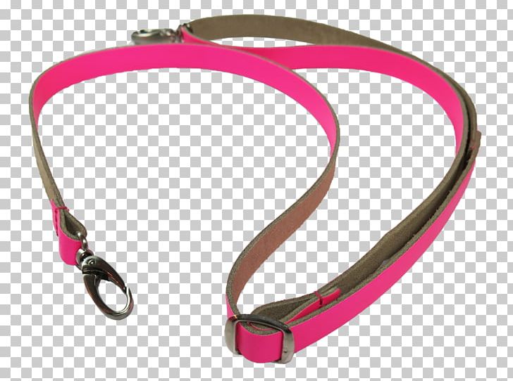 Leash Dog Collar Strap PNG, Clipart, Animals, Collar, Dog, Dog Collar, Fashion Accessory Free PNG Download