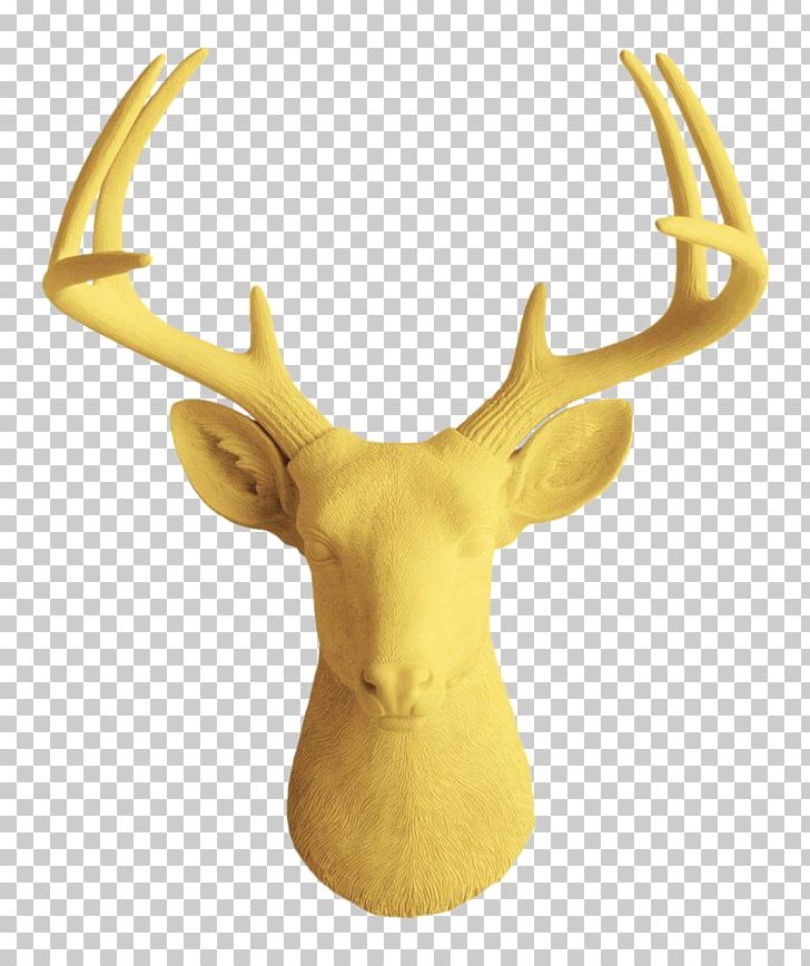 White-tailed Deer Wall Decal Decorative Arts PNG, Clipart, Animals, Antler, Brick, Charmer, Color Free PNG Download