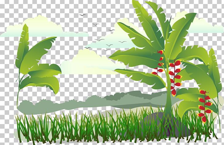 Banana Illustration PNG, Clipart, 3d Computer Graphics, Adobe Illustrator, Autumn Tree, Coconut Trees, Family Tree Free PNG Download