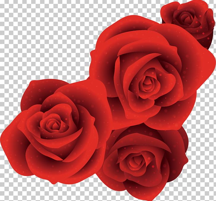 Garden Roses Beach Rose Floribunda Flower PNG, Clipart, Adobe Illustrator, Bea, Beautiful Vector, Beauty, Creative Background Free PNG Download