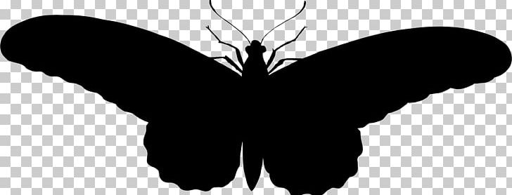 Butterfly Silhouette PNG, Clipart, Animal, Animals, Brush Footed Butterfly, Butterfly, Butterfly Silhouette Free PNG Download