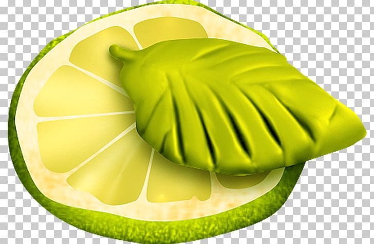 Kiwifruit Food Carambola Lime PNG, Clipart, Avocado, Carambola, Diet, Diet Food, Food Free PNG Download