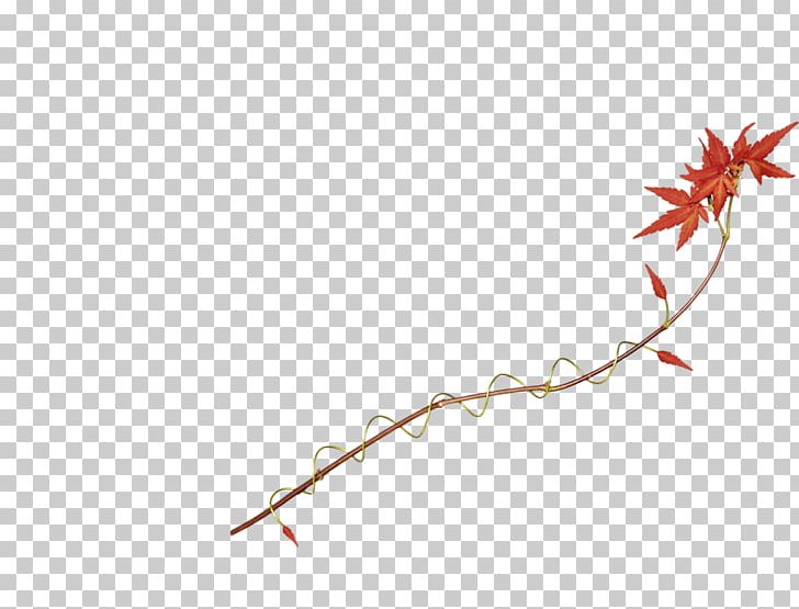 Maple Leaf PNG, Clipart, Angle, Autumn Leaf, Branch, Encapsulated Postscript, Fall Free PNG Download