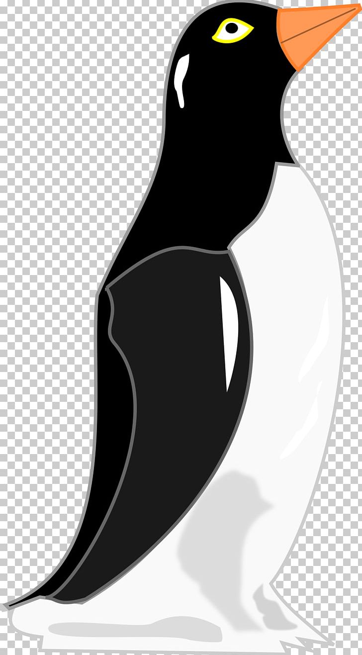 Penguin Refrigerator PNG, Clipart, Animals, Beak, Bird, Black And White, Drawing Free PNG Download