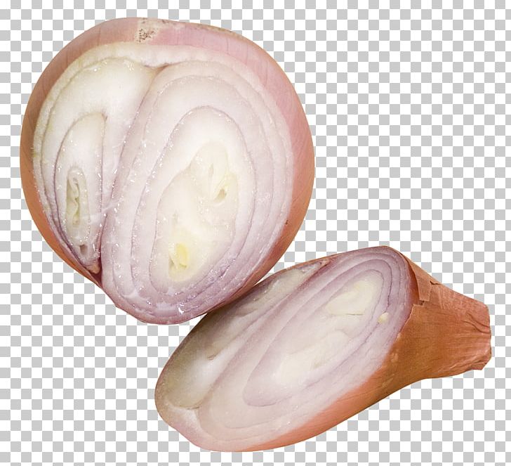Shallot Slicing PNG, Clipart, Cup, Flour, Onion, Red Onion, Shallot Free PNG Download
