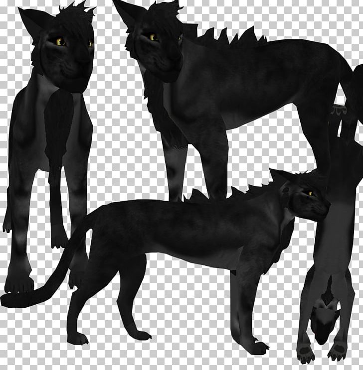 Black Cat Feral Panther Rough Collie PNG, Clipart, Animals, Big Cats, Bla, Black Cat, Black Panther Free PNG Download