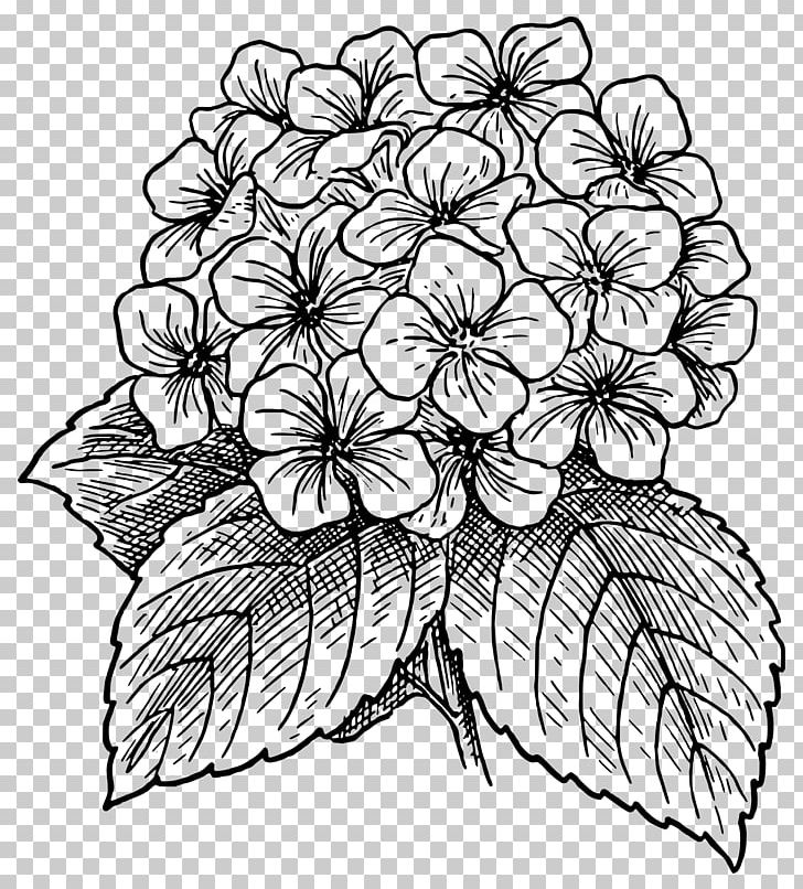 Drawing Flower Watercolor Painting PNG, Clipart, Black And White, Color, Coloring Book, Cut Flowers, Drawing Free PNG Download